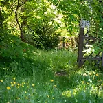 Apartamento Landhauswohnung Mit Wildromantischem Garten Füssen