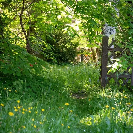 דירה Landhauswohnung Mit Wildromantischem Garten Füssen